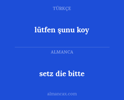 lütfen şunu koy - setz die bitte