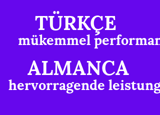 m%C3%BCkemmel+performans-hervorragende+leistung.png