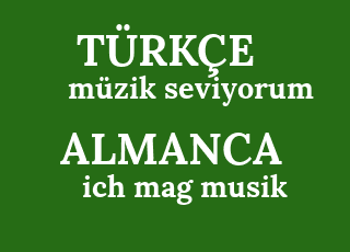 m%C3%BCzik+seviyorum-ich+mag+musik.png