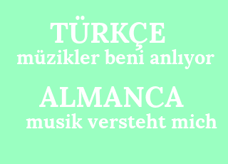 m%C3%BCzikler+beni+anl%C4%B1yor-musik+versteht+mich.png