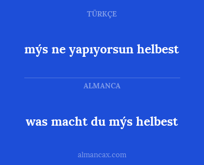 mýs ne yapıyorsun helbest - was macht du mýs helbest
