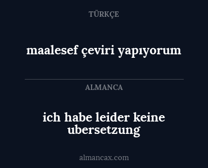 maalesef çeviri yapıyorum - ich habe leider keine ubersetzung