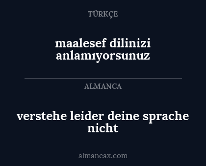 verstehe leider deine sprache nicht - maalesef dilinizi anlamıyorsunuz