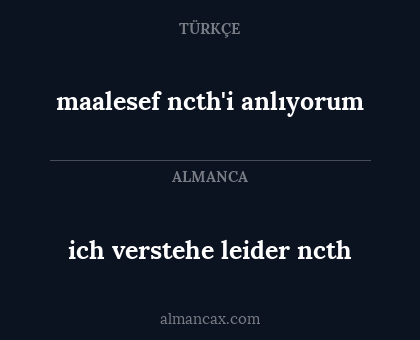 ich verstehe leider ncth - maalesef ncth'i anlıyorum