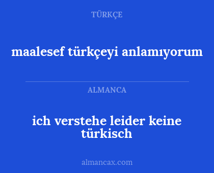 maalesef türkçeyi anlamıyorum - ich verstehe leider keine türkisch