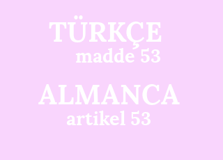 madde+53-artikel+53.png