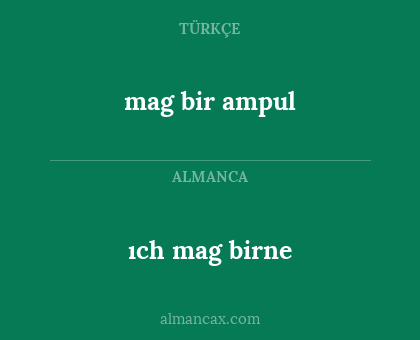 mag bir ampul - ıch mag birne
