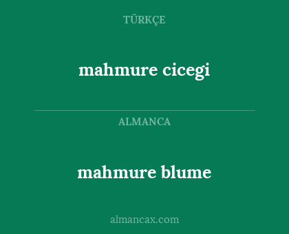 mahmure blume - mahmure cicegi
