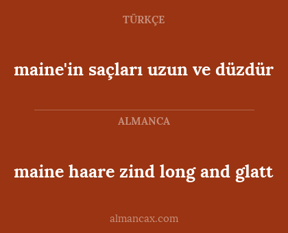 maine haare zind long and glatt - maine'in saçları uzun ve düzdür