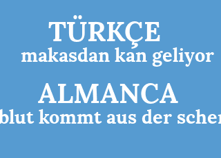 makasdan+kan+geliyor-blut+kommt+aus+der+schere.png