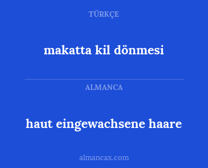 haut eingewachsene haare - makatta kil dönmesi
