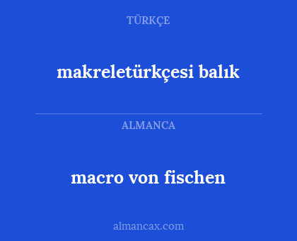 macro von fischen - makreletürkçesi balık