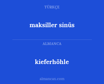 maksiller sinüs - kieferhöhle