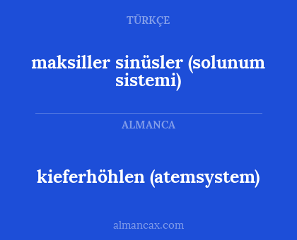 kieferhöhlen (atemsystem) - maksiller sinüsler (solunum sistemi)