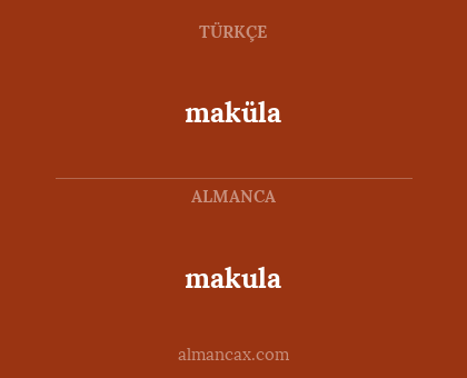 maküla - makula