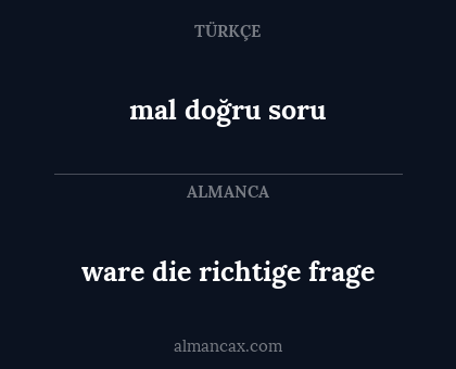 ware die richtige frage - mal doğru soru