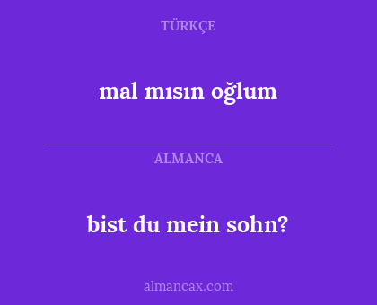 mal mısın oğlum - bist du mein sohn?
