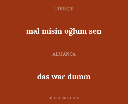 mal misin oğlum sen - das war dumm