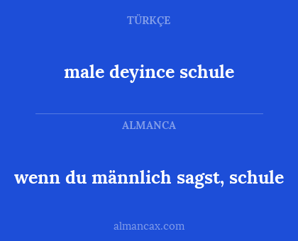 wenn du männlich sagst, schule - male deyince schule