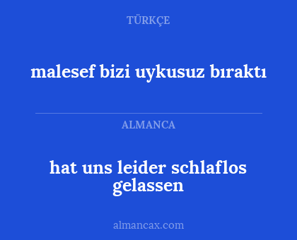 hat uns leider schlaflos gelassen - malesef bizi uykusuz bıraktı