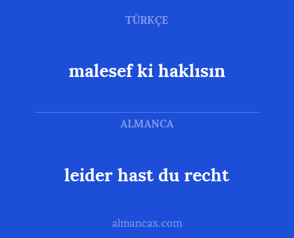 malesef ki haklısın - leider hast du recht