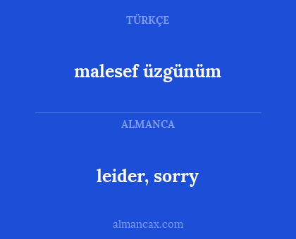 leider, sorry - malesef üzgünüm