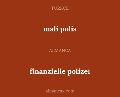 finanzielle polizei - mali polis