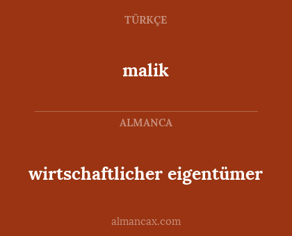 malik - wirtschaftlicher eigentümer