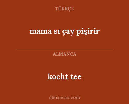 kocht tee - mama sı çay pişirir