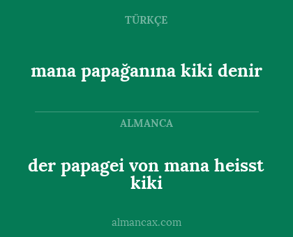 der papagei von mana heisst kiki - mana papağanına kiki denir