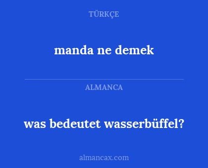 manda ne demek - was bedeutet wasserbüffel?