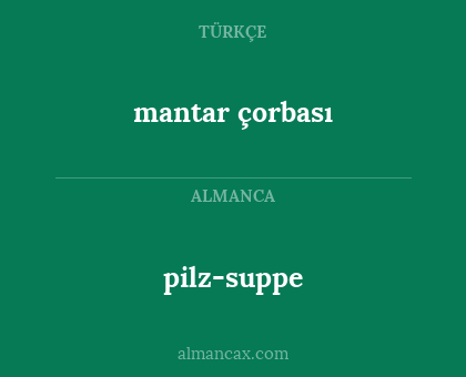 mantar çorbası - pilz-suppe