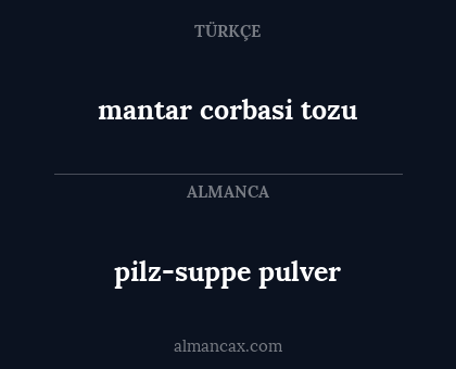 mantar corbasi tozu - pilz-suppe pulver
