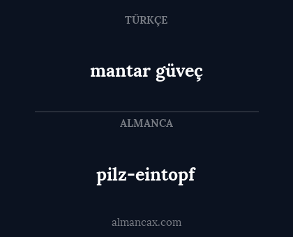 pilz-eintopf - mantar güveç