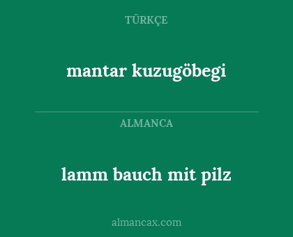 lamm bauch mit pilz - mantar kuzugöbegi