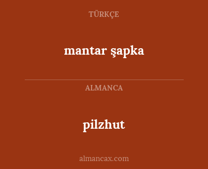 mantar şapka - pilzhut