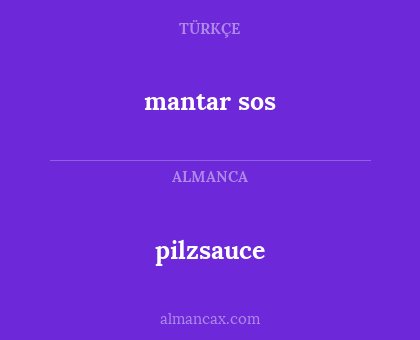 mantar sos - pilzsauce