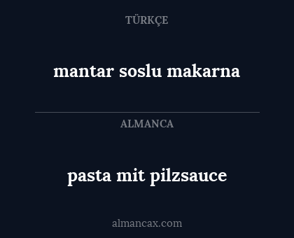 mantar soslu makarna - pasta mit pilzsauce