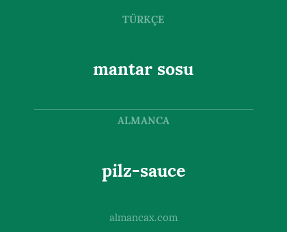 mantar sosu - pilz-sauce