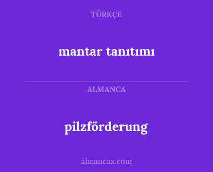 pilzförderung - mantar tanıtımı