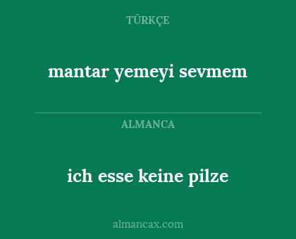 mantar yemeyi sevmem - ich esse keine pilze