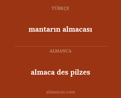 mantarın almacası - almaca des pilzes