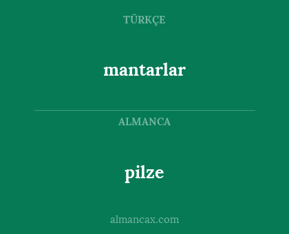 pilze - mantarlar