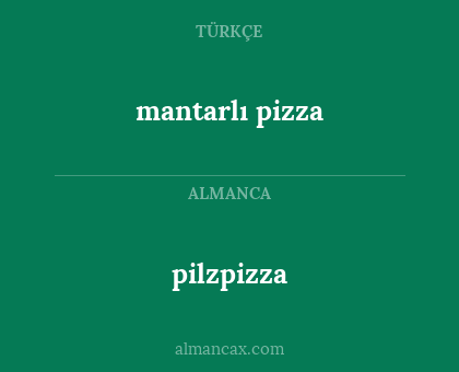 mantarlı pizza - pilzpizza
