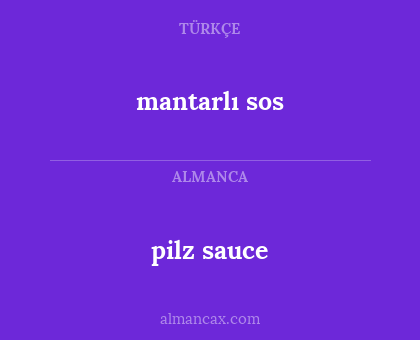 pilz sauce - mantarlı sos
