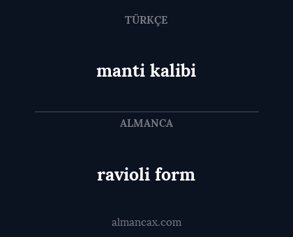 ravioli form - manti kalibi