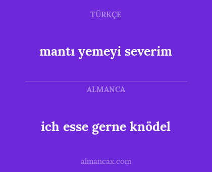 ich esse gerne knödel - mantı yemeyi severim