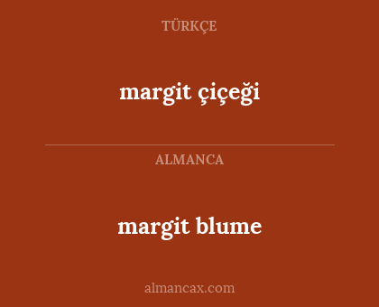 margit blume - margit çiçeği