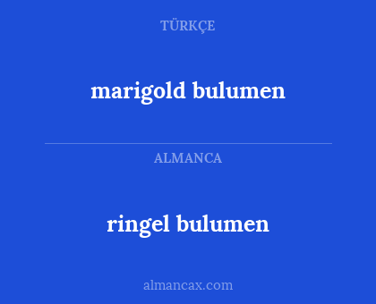 ringel bulumen - marigold bulumen