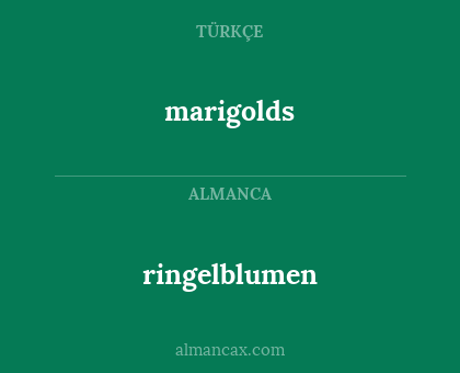 ringelblumen - marigolds
